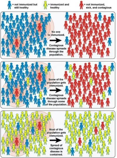 Figure 6 : What is Herd Immunity (source: The National Institute of Allergy and Infectious Disease) 