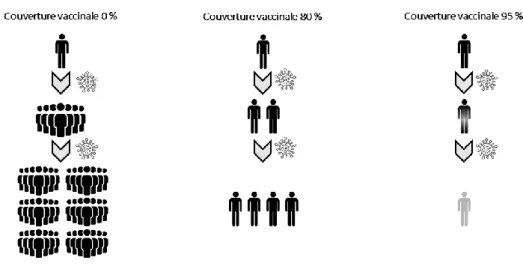 Figure 7: Effet de la couverture vaccinale sur la propagation d’un virus