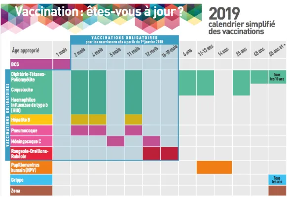 Figure 8 : Calendrier simplifié des vaccinations (source :  Ministère des Solidarités et de la Santé) 