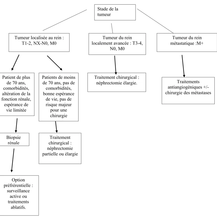 Figure 6 : Choix de la stratégie thérpeutique en fonction du stade de la pathologie (d'après  la société française d'urologie) 