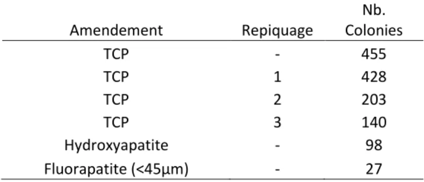 Tableau 2.1 Nombre de souches bactériennes cultivées sur milieu solide ayant solubilisé  les  amendements  qui  étaient  le  phosphate  tricalcique  (TCP),  l’hydroxyapatite  et  la  fluorapatite