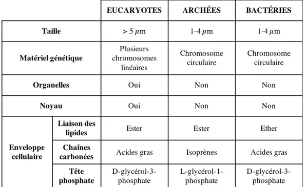 Tableau 1. Comparaison des principales caractéristiques des Archées, Bactéries et Eucaryotes