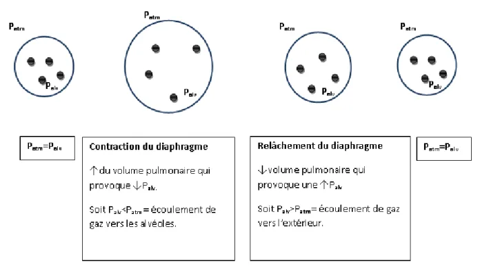 Figure 7: production d'un débit aérien 