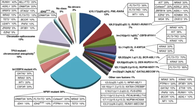 Figure 5 : anomalies moléculaires et cooccurrence retrouvées dans les LAM (7) 