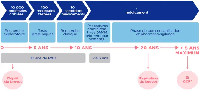 Figure 2 : Le parcours du médicament en phase de R&amp;D