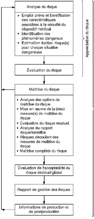 Figure 1 - Représentation schématique du processus de gestion des risques 