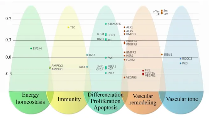 Figure  2.  Manhattan  plot  synthetizing  the  correlation  analysis.  Pearson  coefficients  of  each  target classified according to their cellular function