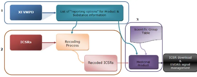 Figure  17  :  Description  du  &#34;recoding&#34;  d'après  «   l’EudraVigilance  -  EVWEB  User  Manual  Version 1.5 » (60) 