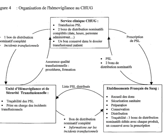 Figure 4  : Organisation de l'hémovigilance au CHUG  Service clinique CHUG : 