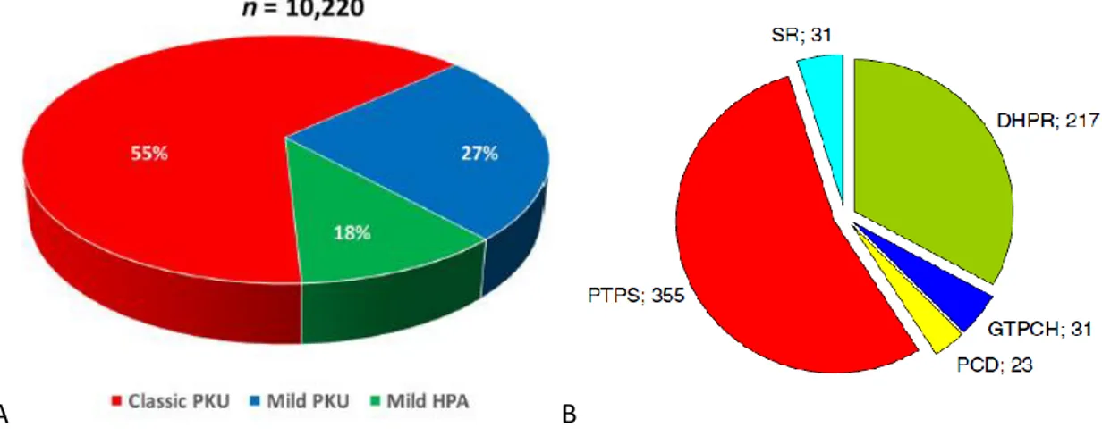 Figure 5 : A : Répartition des phénotypes de PCU à travers le monde référencés dans la base de données BIOPKU, 2016