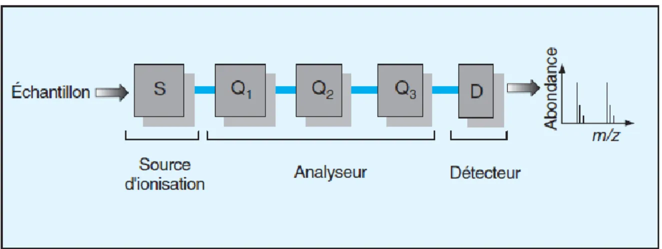 Figure 10 : Schéma d’un spectromètre de masse en tandem. D’après (175). 