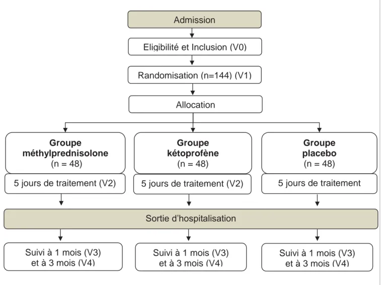 Figure n°4. Schéma des visites de l’étude