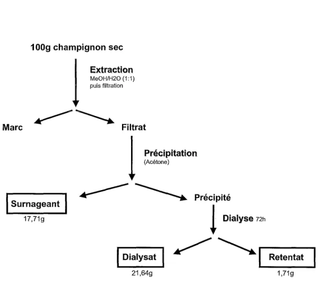 Figure 3: Schéma d'extraction de  C.  amœnolens 