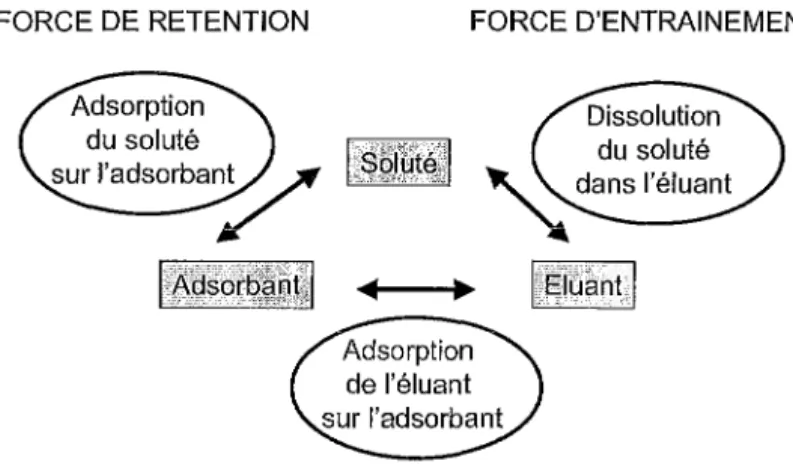 Figure 9: Le mécanisme d'adsorption 