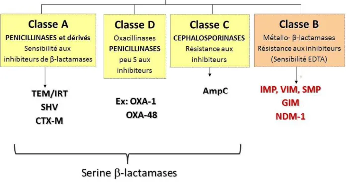 Figure 7: Différentes classes de béta-lactamases selon la classification d'Ambler. 