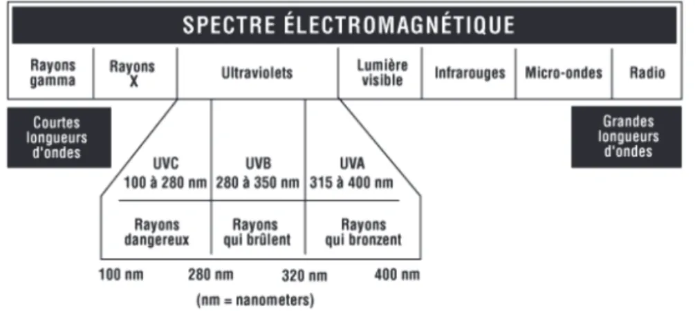 Figure 8 - Spectre électromagnétique 