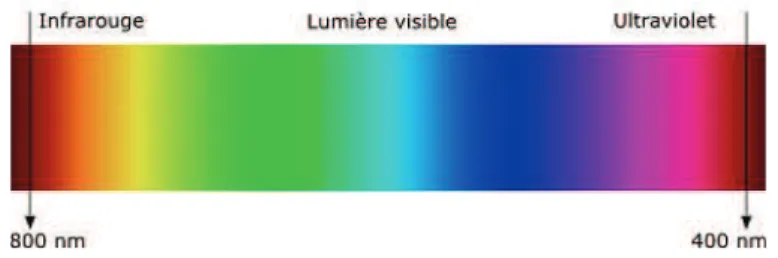 Figure 9 - Spectre de la lumière visible 