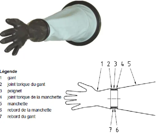 Figure 16 Photo et schéma d'un gant et d'une manchette d'isolateur (Dynamic Design Pharma 2003 ; AFNOR 2004)  