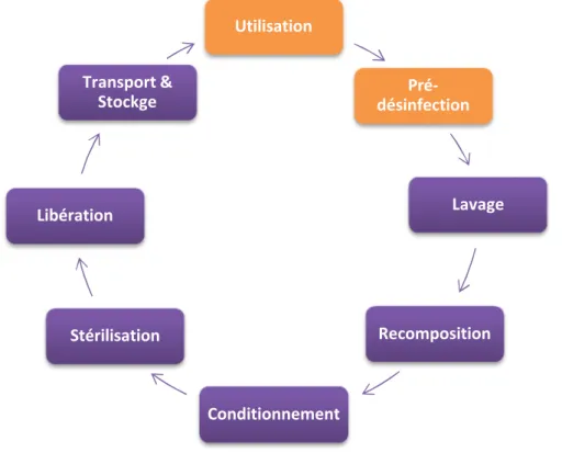 Figure 1. Le processus de stérilisation