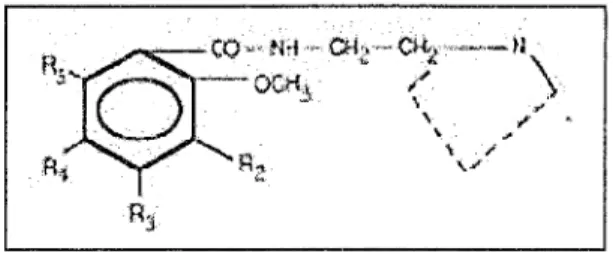Figure 2.6 : structure chimique commune des benzamides. 