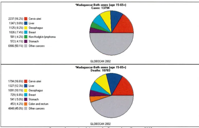 Figure 3: Prévalence et mortalité des cancers à Madagascar en 2002 