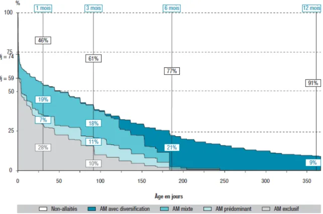 Figure 6:  Evolution des taux d'allaitement maternel de la naissance à 12 mois,  Epifane 2012-2013, France  [74]