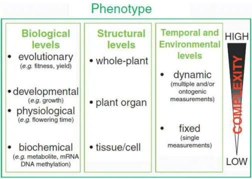 Figure 13 :  Niveaux auxquels peut être évalué le phénotype d’une plante  : biologique, structural, temporel  et environnemental (C