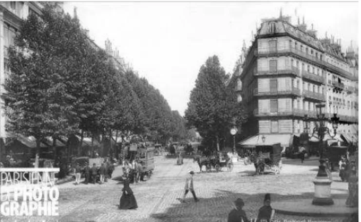 Figure 7 :  Evolution de la situation de l’arbre urbain au XX ème siècle (d’après la Charte de  l’Arbre du Grand Lyon, 2011)