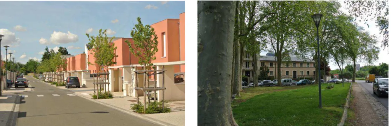Figure  9 :  A  gauche,  photographie  de  la  rue  Maximilien  Ringelmann  dans  le  quartier  pavillonnaire des Hauts Saumons (C