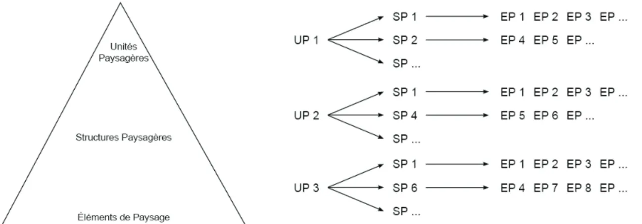 Figure 17. Décomposition  des  unités  paysagères  en  structures  paysagères  puis  en  éléments  de  paysage  (Isaline Soller).