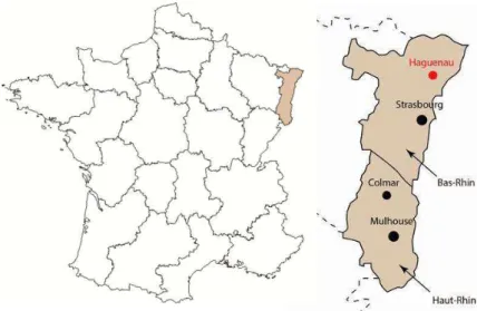 Fig. 3 : Carte de localisation de Haguenau (réal. L. Gendry) 