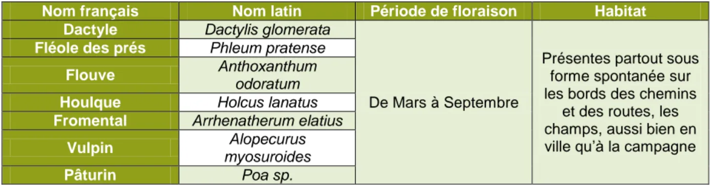 Tableau 1: Principales graminées mises en cause dans les allergies en France  Auteur : D