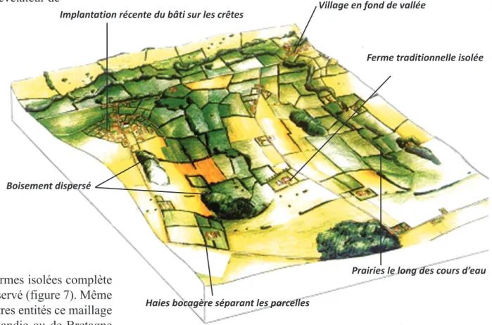 Figure 7 : Bloc-paysage des Monts et Vallons Bocagers. (source : SCOT, 2006)