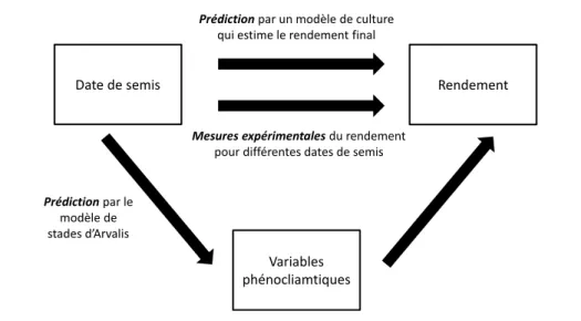 Figure 2  Méthodes envisageables dans la détermination des dates de semis conduisant au rendement optimal
