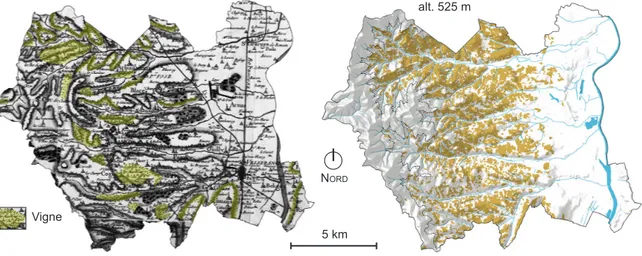 Figure 16 : Géologie et pédologie simplifiées de l’agglomération (P. Renault d’après BRGM   (2005) et Chambre d’Agriculture du Rhône (BD Sols Rhône-Alpes © )).