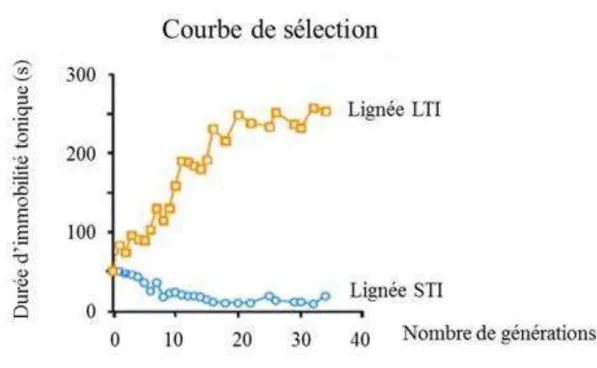 Figure 1  : Courbe de sélection sur l’immobilité tonique, initiée par Mills et Faure (1991).