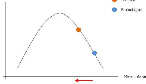 Figure 15 : Performances de cailles STI situées sur la courbe de Yerkes et Dodson. 
