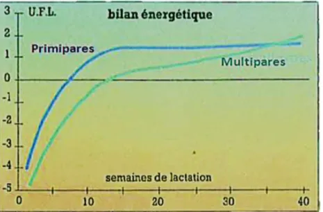 Figure  7 :  Bilan  énergétique  de  la  vache  au  cours  de  la  lactation  en  fonction  de  la  parité (Bareille et al., 1995).