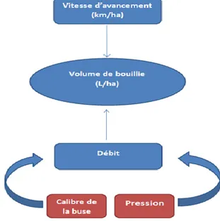 Figure 7: Schéma présentant les facteurs affectant le volume de bouillie 