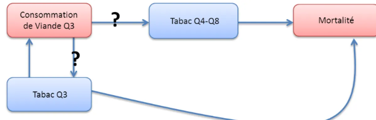 Figure 4 : Diagramme causal : Cas de la variable antécédents personnels de maladies 