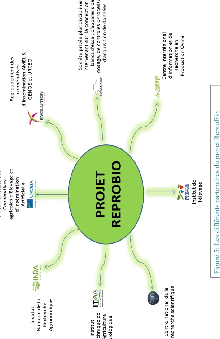 Figure 5: Les différents partenaires du projet ReproBio