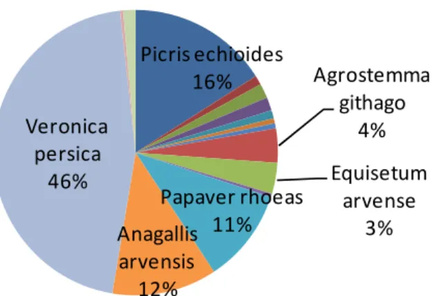 Figure 15 : distribution des catégories  d’Hyménoptères échantillonés 