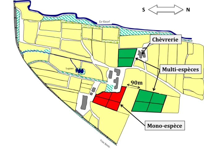 Figure 1. Parcellaire du site d’expérimentation : 5.4 ha utilisés dans le cadre de cet essai 