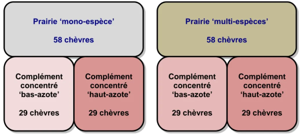 Figure 2. Dispositif expérimental en split plot. 