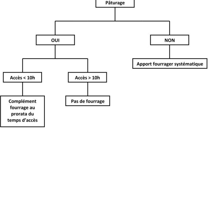 Figure 3. Arbre de décision pour la complémentation en fourrage lors de l’expérimentation  L’apport fourrager des troupeaux est raisonné quotidiennement en fonction du temps d’accès aux parcelles 