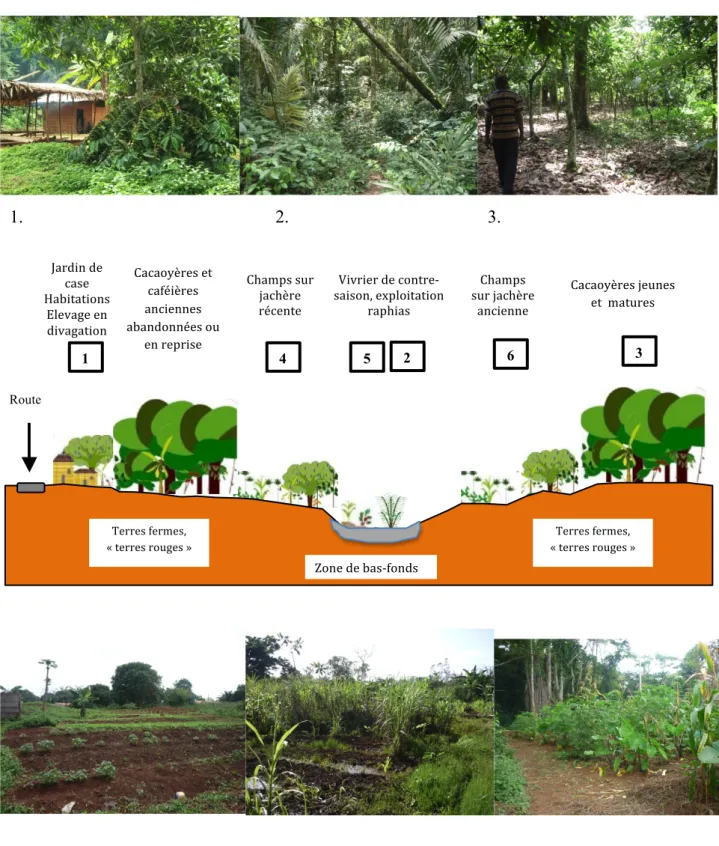 Figure  6 :  Organisation  du  finage  villageois  dans  le  paysage  avec  illustrations  photographiques  dans  la  zone  A  (de  l’auteure) 1