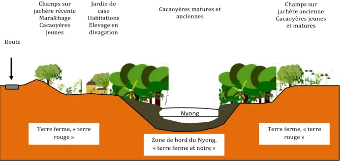 Figure 7 : Organisation du finage villageois dans le paysage dans la zone B, à proximité du Nyong (de l’auteure) 