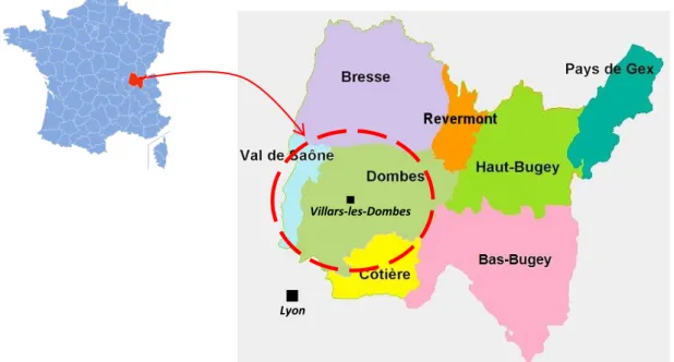 Figure  1  :  Localisation  du  territoire  Dombes-Val  de  Saône  (Sources  :  Wikipédia,  Avenir Dombes-Saône)  