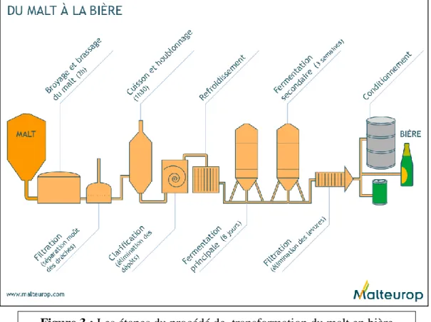 Figure 3 : Les étapes du procédé de  transformation du malt en bière  (Malteurop 2014b) 