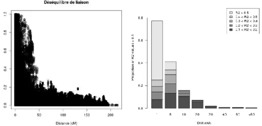 Figure 11 : Représentation graphique du déséquilibre de liaison en fonction de la distance  entre les marqueurs (données INRA) 